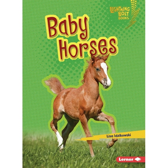 Lightning Bolt Books (R) -- Horse Lover& Baby Horses, (Paperback)