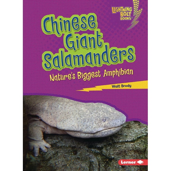 Lightning Bolt Books (R) -- Nature' Chinese Giant Salamanders: Nature's Biggest Amphibian, (Paperback)