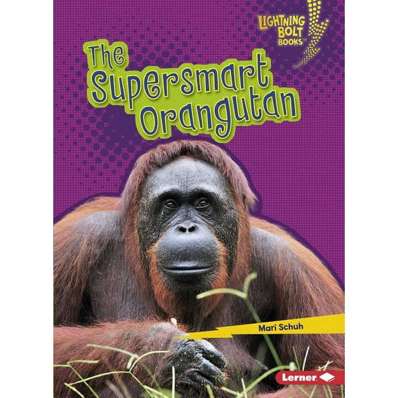 Lightning Bolt Books (R) -- Supersmart Animals: The Supersmart Orangutan (Paperback)