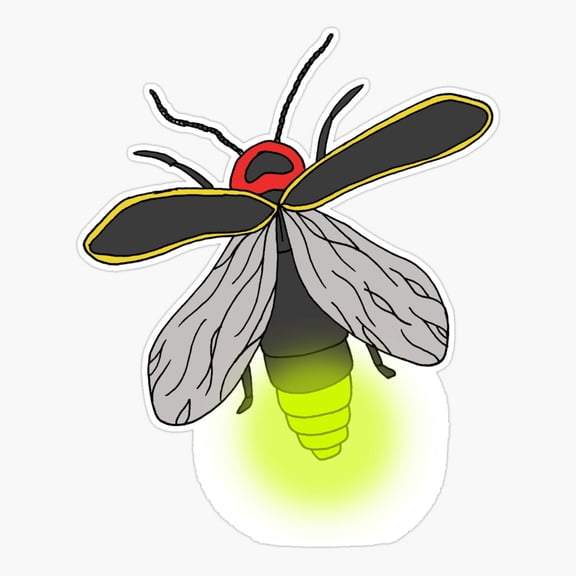 Lightning Bug Insect Art Vinyl Decal Sticker