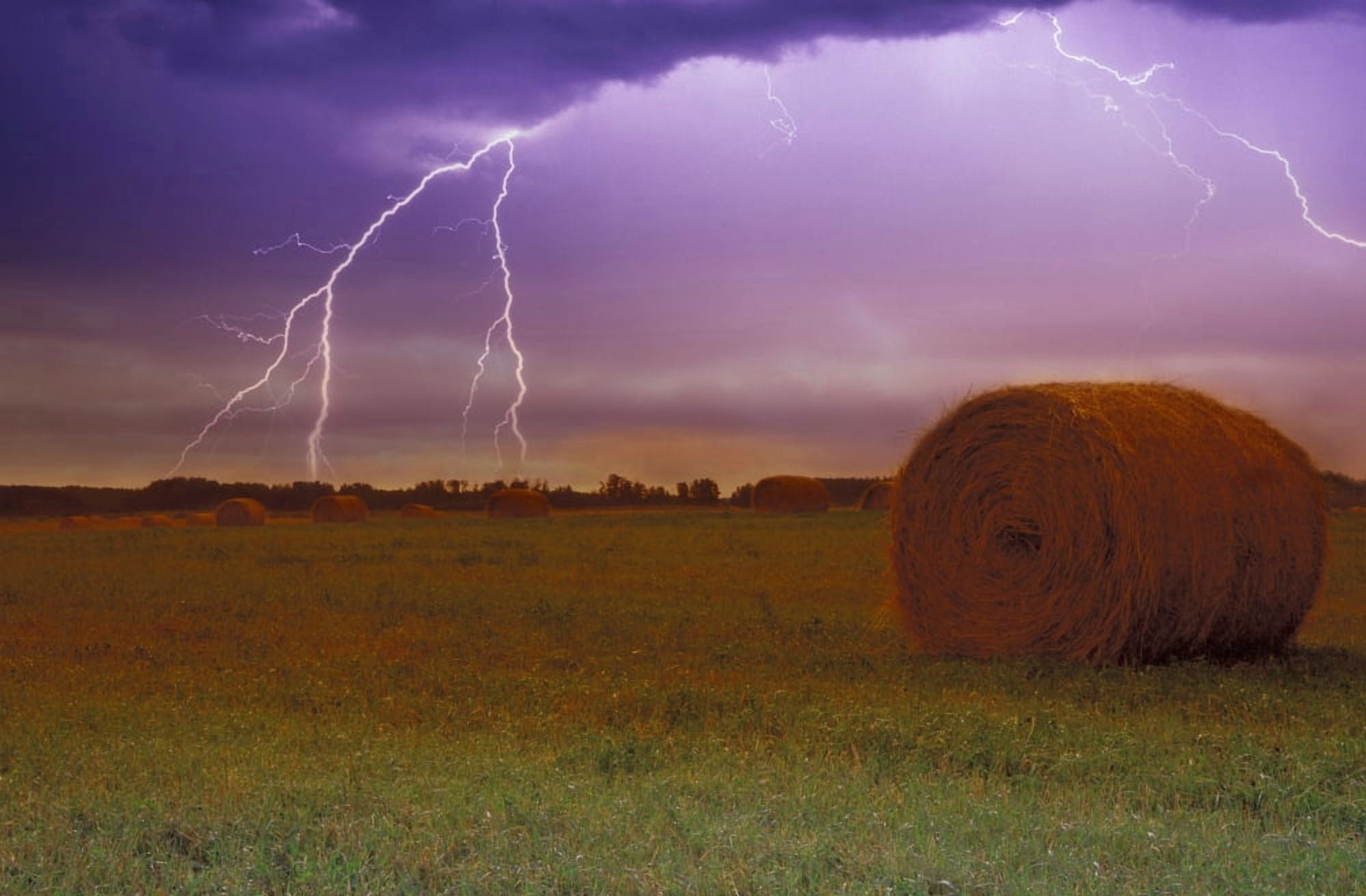 Lightning Over A Field Canvas Art - Carson Ganci Design Pics (17 x 11)
