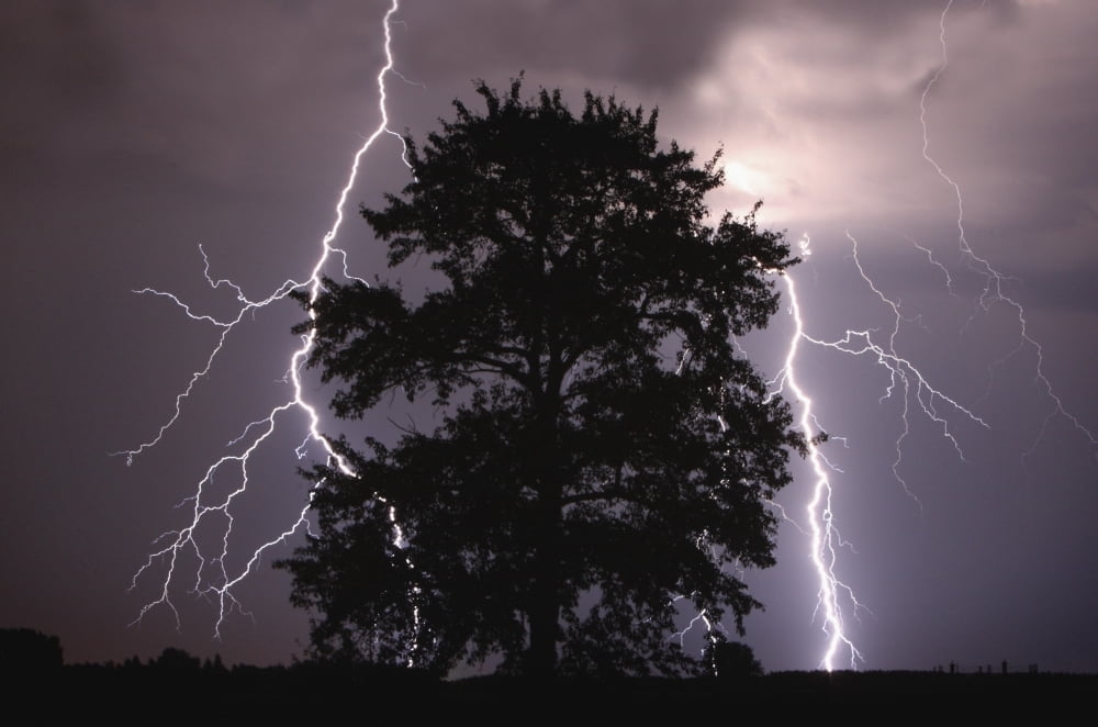 Lightning Strikes In The Sky Behind A Tree Alberta Canada Canvas Art - Richard Wear Design Pics (17 x 11)
