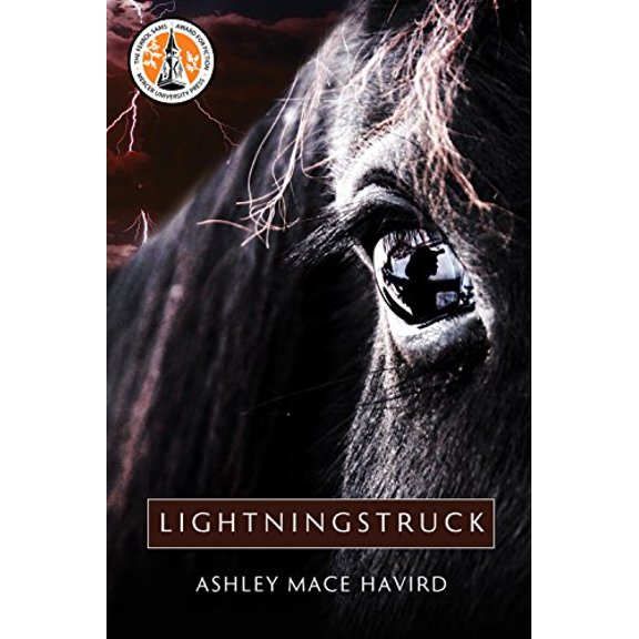 Pre-Owned Lightningstruck: A Novel Paperback