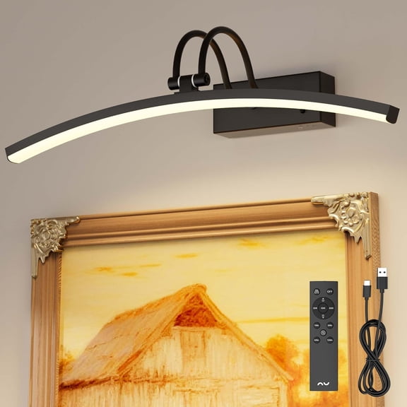 Lights for Pictures Wall, Picture Light with Motion Sensor, Remote Dimmable & Timer, ?16in Black Art Lighting for Paintings Canvas, Gallery, Portraits