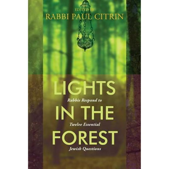 Lights in the Forest: Rabbis Respond to Twelve Essential Jewish Questions (Paperback)