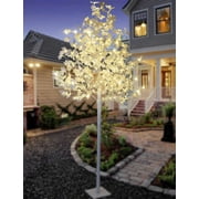 Lightshare 6 قدم. شجرة القيقب البيضاء مع أضواء LED ، مع جهاز تحكم عن بعد للأبيض الدافئ ، والضوء الأبيض الصافي وألوان الأضواء المختلطة
