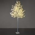 thumbnail image 1 of Lightshare 8FT White Maple Tree with 264L, warm white and clear white light, 1 of 4