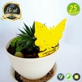 thumbnail image 1 of Lightsmax Indoor & Outdoor Bug, Gnat, and Fruit Fly Sticky Trap, 25 Count, 1 of 8