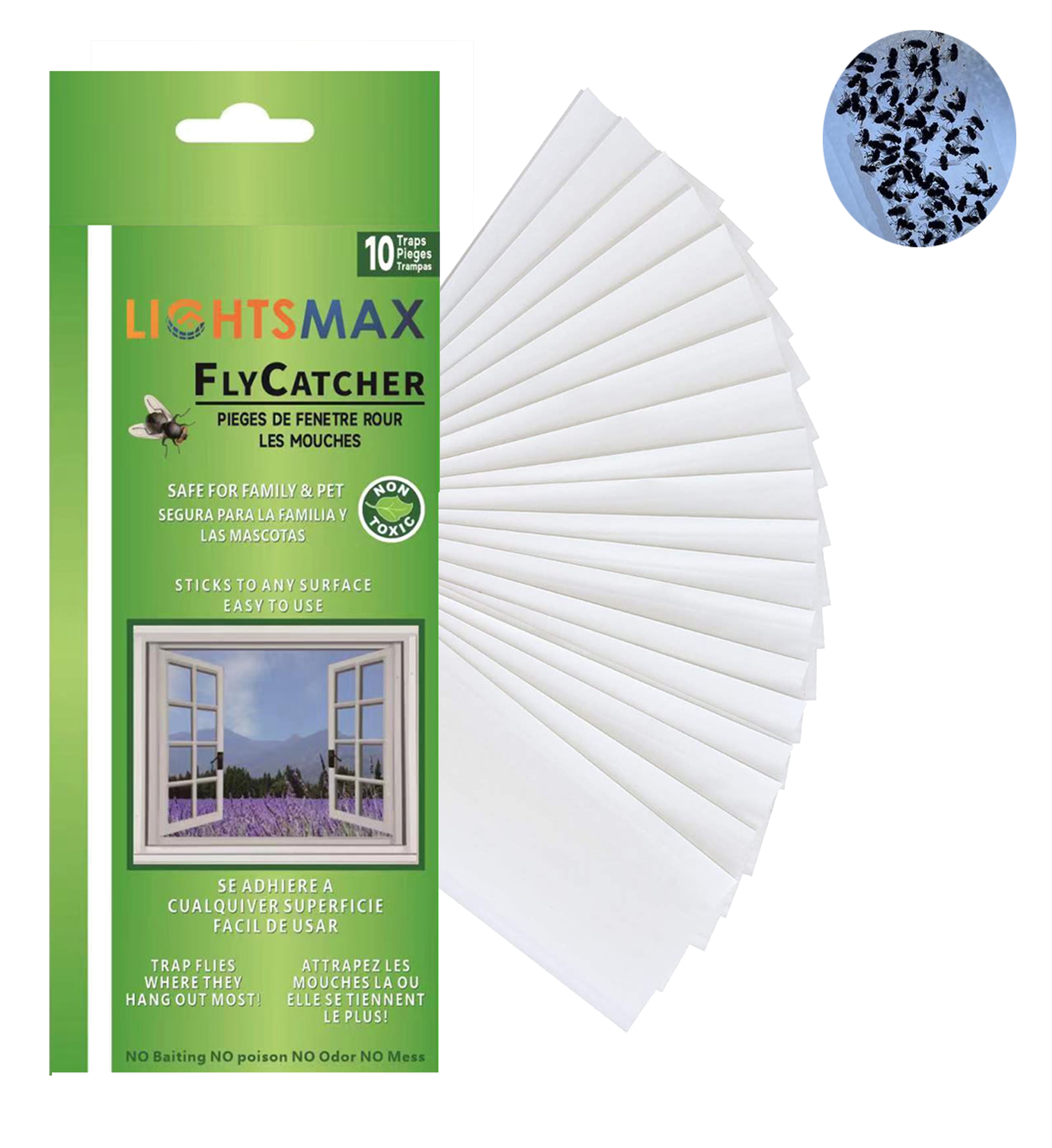 Window Light Trap Lightsmax Window Transparent Fly Gnat Trap - 10 pcs - Walmart.com