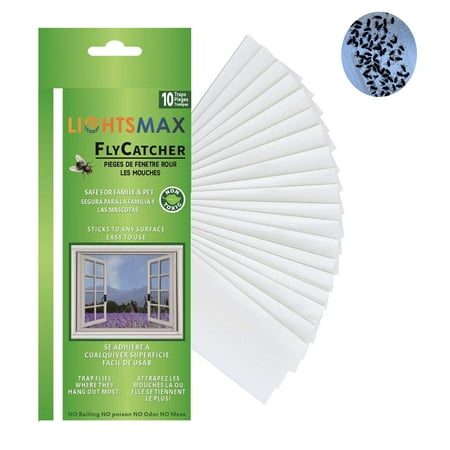 Lightsmax Window Transparent Fly Gnat Trap - 10 pcs