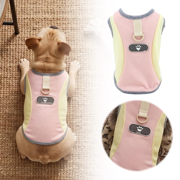 Lightweight Apparel Arrival Breathable Outdoor Wear For Small Medium Large Dog Rain Cover Dog Accessories Nearby Dog Grooming Accessories Dog Accessories Car Accessories Store Italian Greyhound