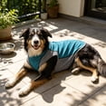 thumbnail image 1 of Lightweight Breathable Dog Cooling Vest for Hot Weather with Ice Pack Pockets Cooling, Summer Blue Shirt for Dogs for Walking Hiking Beach Outdoor, Pet Clothes for Warm Weather Activities, 1 of 8