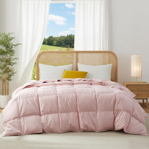 Lightweight Down Comforter Size, Goose Feathers Fiber Comforter for Hot Sleepers, Breathable & Ultra Soft Duvet Insert, Thin Bedding for Summer, (68" X 88")