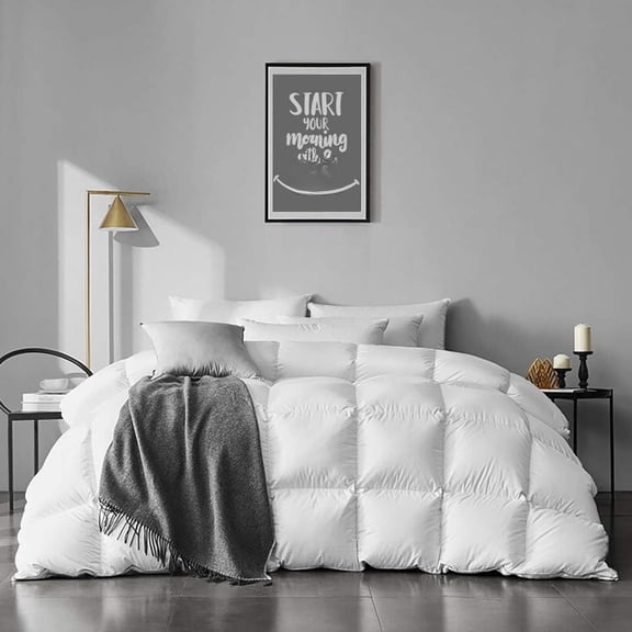 Lightweight Down Comforter Size - Soft Quilted Duvet Insert, Thin Bedding Comforter for Warm Weather/Hot Sleepers (106x90, White)