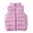thumbnail image 1 of Lightweight Puffer Jacket Vest Boys Girls Full Zip Sleeveless Stand Collar Warm Quilted Cotton Winter Coat 2-11Y (100, Purple), 1 of 7
