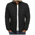 thumbnail image 1 of Lightweight Puffer Jacket with Pocket Solid Color Zip Up Coat Top Classic Fit, 1 of 7