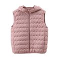 thumbnail image 1 of Lightweight Quilted Vest Jackets for Women with Hood Pocket Casual Warm Outerwear Sleeveless Hooded Puffer Coat (2XL, Pink), 1 of 7