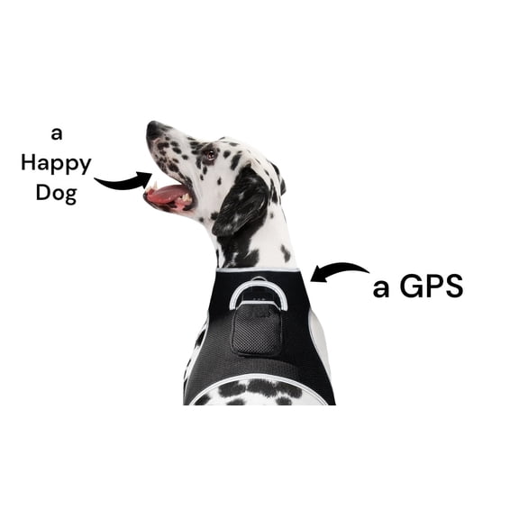 Lightweight Rechargeable Collar Pet GPS Tracker for Dogs with Movement Detector Size:L