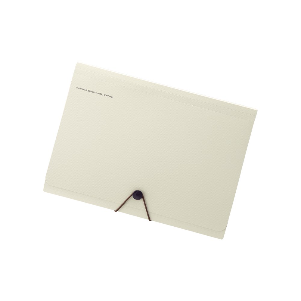 Lihit Lab Carrying Document Smart Fit A4 6 Pocket Beige A758916