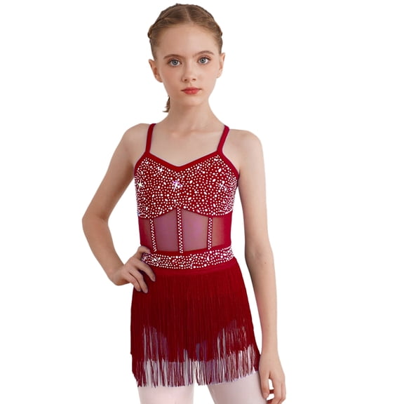 LiiYii Kids Girls Sparkly Jazz Latin Dance Dress Skirted Leotard Tassel Salsa Rumba Samba Tango Dancewear Burgundy 6