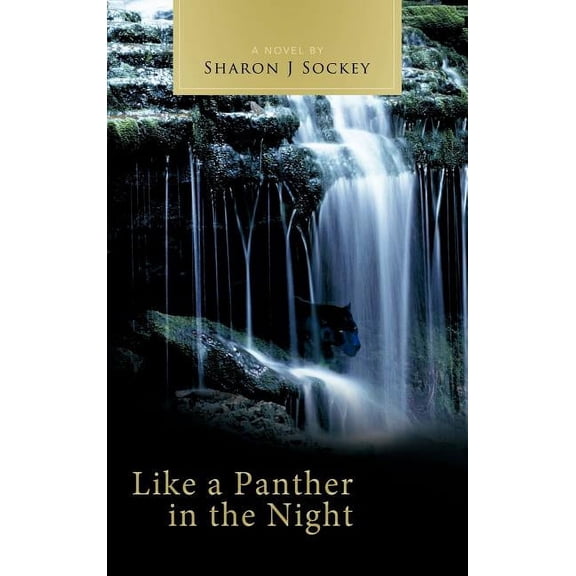 Like A Panther In The Night