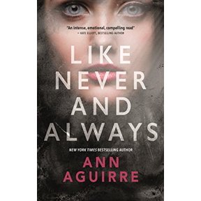 Pre-Owned Like Never and Always (Paperback) 0765397609 9780765397607