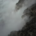 thumbnail image 1 of Like Rats - Like Rats - Rock - CD, 1 of 1