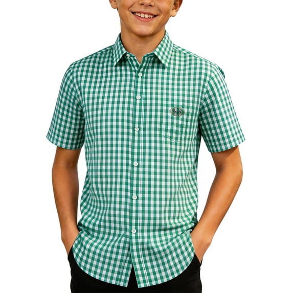 Likimi Child Kids Boys T-Shirts Plaid Print Short Sleeve Lapel Button Down Comfort Tee Green Size 3-4 Years
