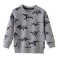 thumbnail image 1 of Likimi Toddler Boys T Shirt Dinosaur Cartoon Printed Long Sleeved Crew Neck Comfortable Loose Autumn Winter Sweatshirt Size 3-4 Years Grey, 1 of 6