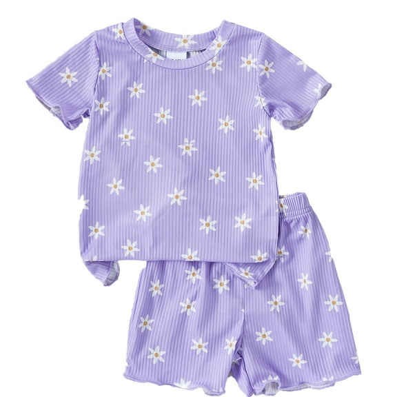 Likimi Toddler Kids Girls Outfits Set Casual Short Sleeve Crew Neck Flowers Print T Shirt Short Two Piece Set Purple Size 2-3 Years