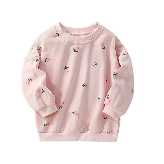 Likimi Toddler Kids Girls Tops Crew Neck Long Sleeve Print T Shirt Casual Comfortable Soft Spring Fall Tops Size 4-5 Years Pink