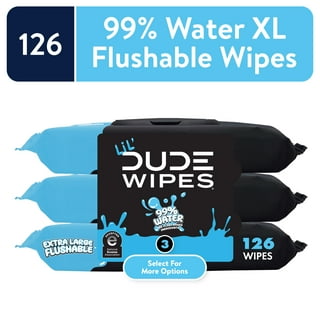 LiL' DUDE Wipes, Extra Large 99% Water Fragrance Free Flushable Wet Wipes for Kids, 252 Count, 6 Pack (Select for More Options)