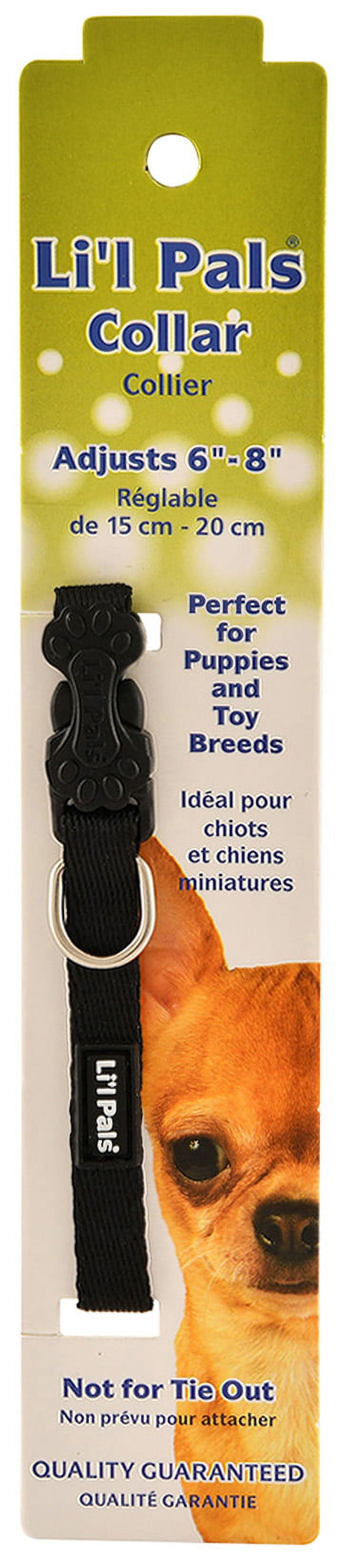 221 5/16" LIL PALS COLLAR- BLACK, 8"