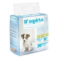 thumbnail image 1 of Lil' Squirts Training Pads 30ct, 1 of 7