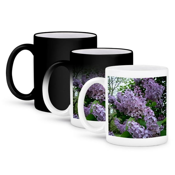 3dRose, Lilac, 11oz Magic Transforming Mug