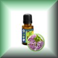thumbnail image 1 of Lilac Absolute (Syringa Vulgaris) Essential Oil, 1 of 1