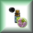 thumbnail image 1 of Lilac Absolute (Syringa Vulgaris) Essential Oil, 1 of 1