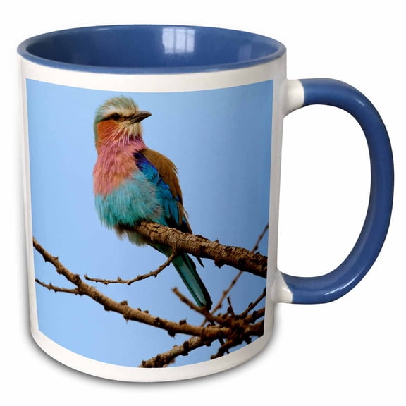 3drose, Lilac Breasted Roller, Serengeti National Park, Tanzania-af45 Aje0221 - Adam Jones, 11oz Two-tone Blue Mug