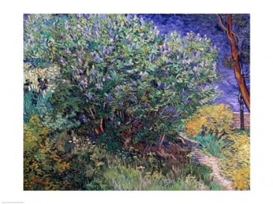 Lilac Bush 1889 Canvas Art - Vincent Van Gogh (24 x 18)