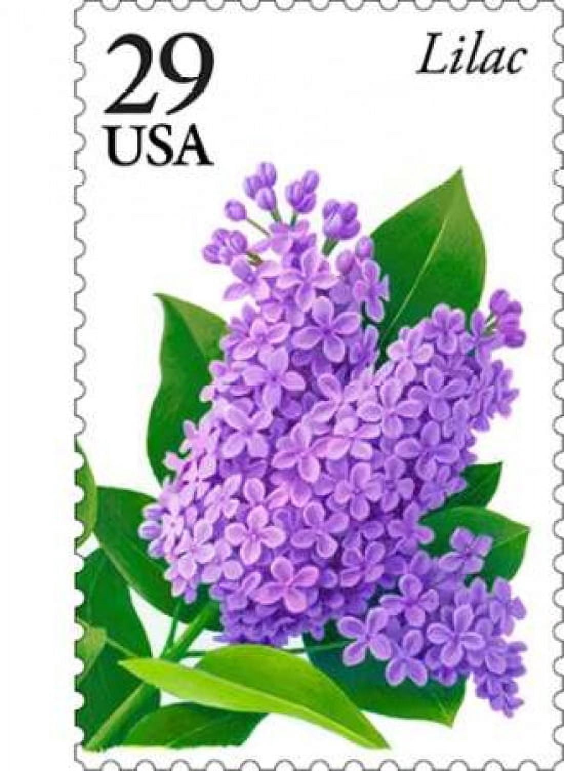 Lilac Canvas Art - US POSTAL SERVICE (18 x 24)
