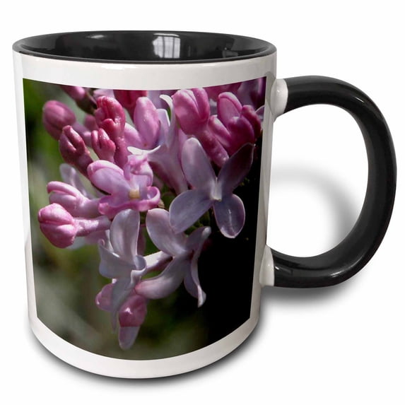 3drose, Lilac Flowers, 15oz Two-tone Black Mug