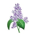 thumbnail image 1 of Lilac Flowers - Gardening /Spring/Natural - Iron on Applique/Embroidered Patch, 1 of 1