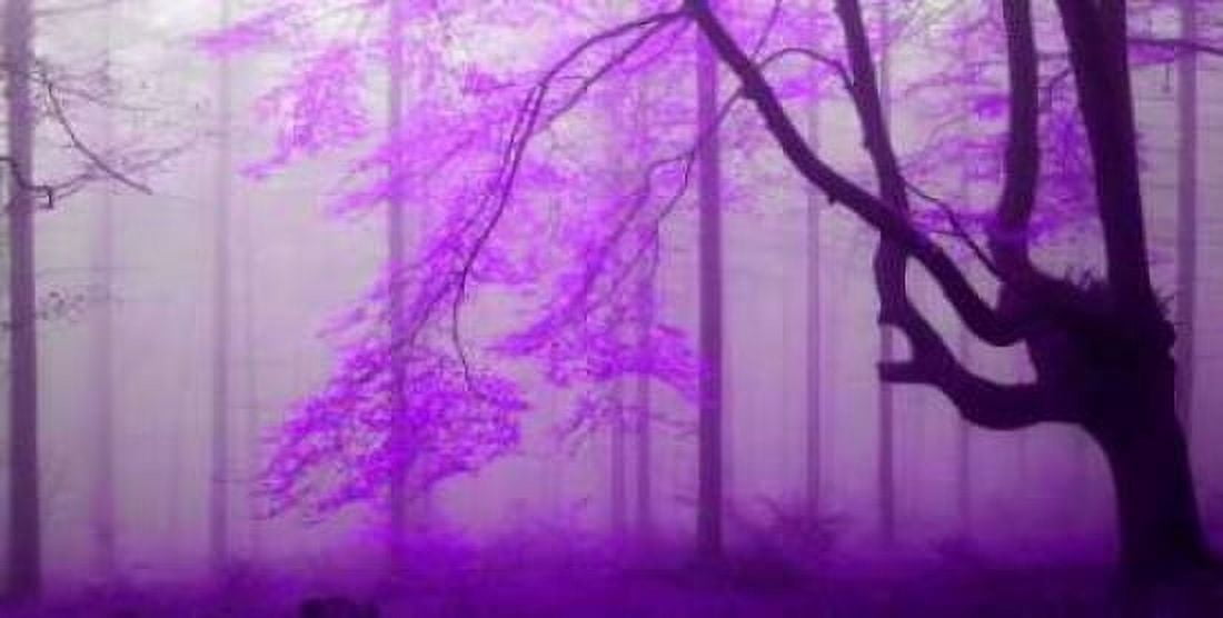 Lilac forest 808 Canvas Art - JA Palacios (10 x 20)