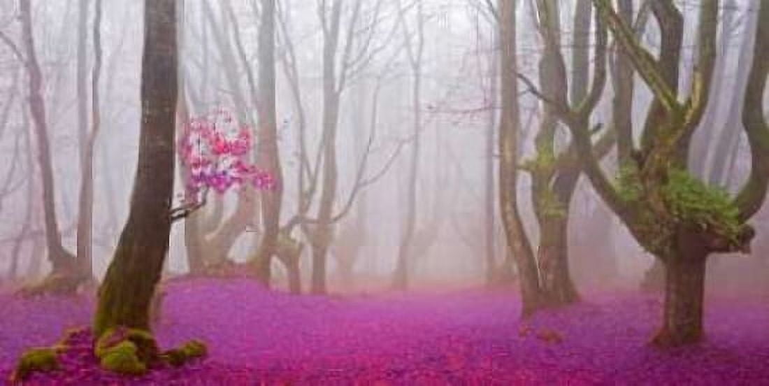 Lilac forest 812 Canvas Art - JA Palacios (10 x 20)