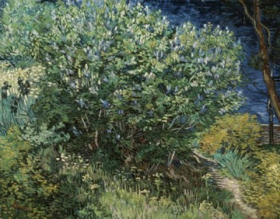 Lilacs 1889 Vincent van Gogh (1853-1890 Dutch) Oil on canvas Hermitage Museum St Petersburg Russia Canvas Art - Vincent van Gogh (18 x 24)