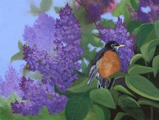 Lilacs Robin Canvas Art - Julie Peterson (18 x 24)