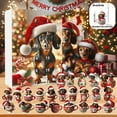 thumbnail image 1 of Lilgiuy 24 Day Christmas Advent Calendar Dachshunds Christmas Vacation Advent Calendar 2024 New Christmas Advent Calendar, Cute Christmas Countdown Calendar Gift for Children Familly Friends, 1 of 6