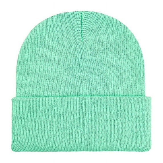 Lilgiuy Beanie Hats for Women Men 2024 New Solid Color Soft Comfort Stretchy Winter Warm Hat Daily Knit Cuff Beanie Cap Gifts for Friends, Sons, Daughters, Couples, Mint Green
