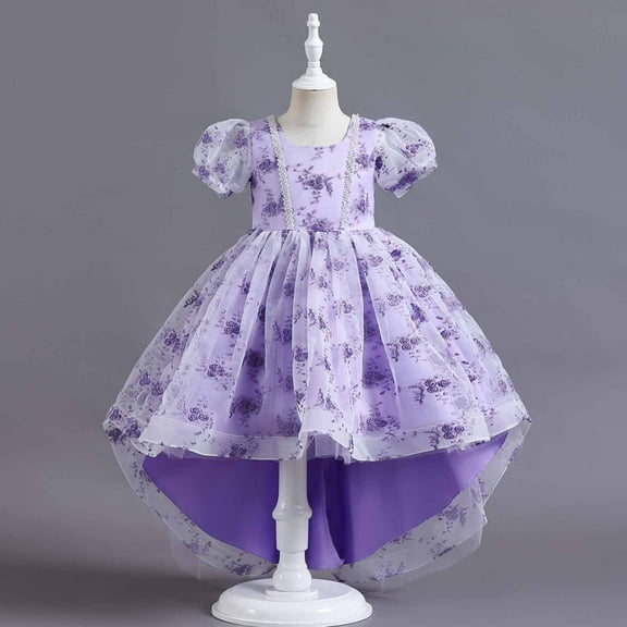 Lilgiuy Children Baby Girls Middle-aged Children's Embroidered Gauze Dress Princess Dress，Purple,3-4 Years Fall for 2022 Spring Winter