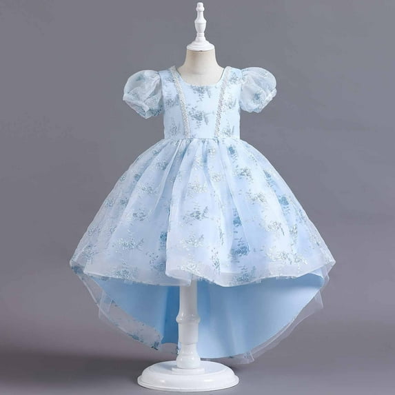 Lilgiuy Children Baby Girls Middle-aged Children's Embroidered Gauze Dress Princess Dress,Sky Blue,3-4 Years Fall for 2022 Spring Winter